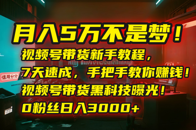 月入5万不是梦!视频号带货新手教程,7天速成,手把手教你赚钱!视频号…-项目吧