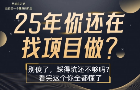 25年,你还在疯狂的找项目吗?别傻了,看完这个你都懂了【揭秘】-项目吧