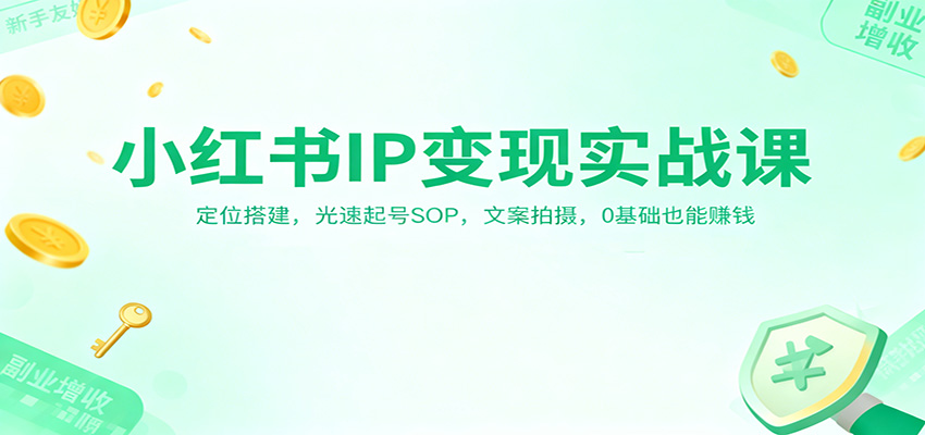 小红书IP变现实战课：定位搭建，光速起号SOP，文案拍摄，0基础也能赚钱-项目吧